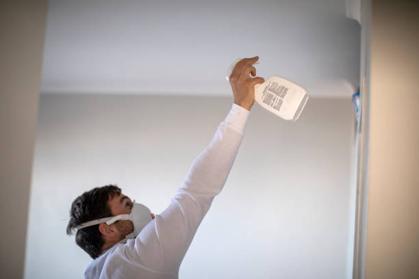 Best Mold Damage Repair  in Boonville, NC