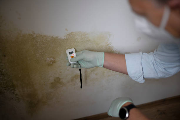 Best Mold Testing  in Boonville, NC