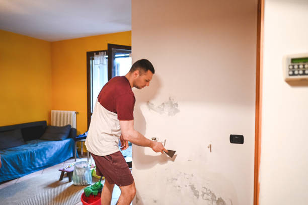 Best Fast Mold Removal  in Boonville, NC