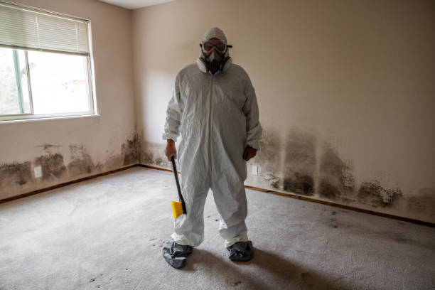 Best Home Mold Removal  in Boonville, NC